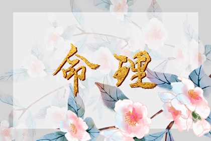 全民农历日历_日历查询2025年吉日_日历表日历